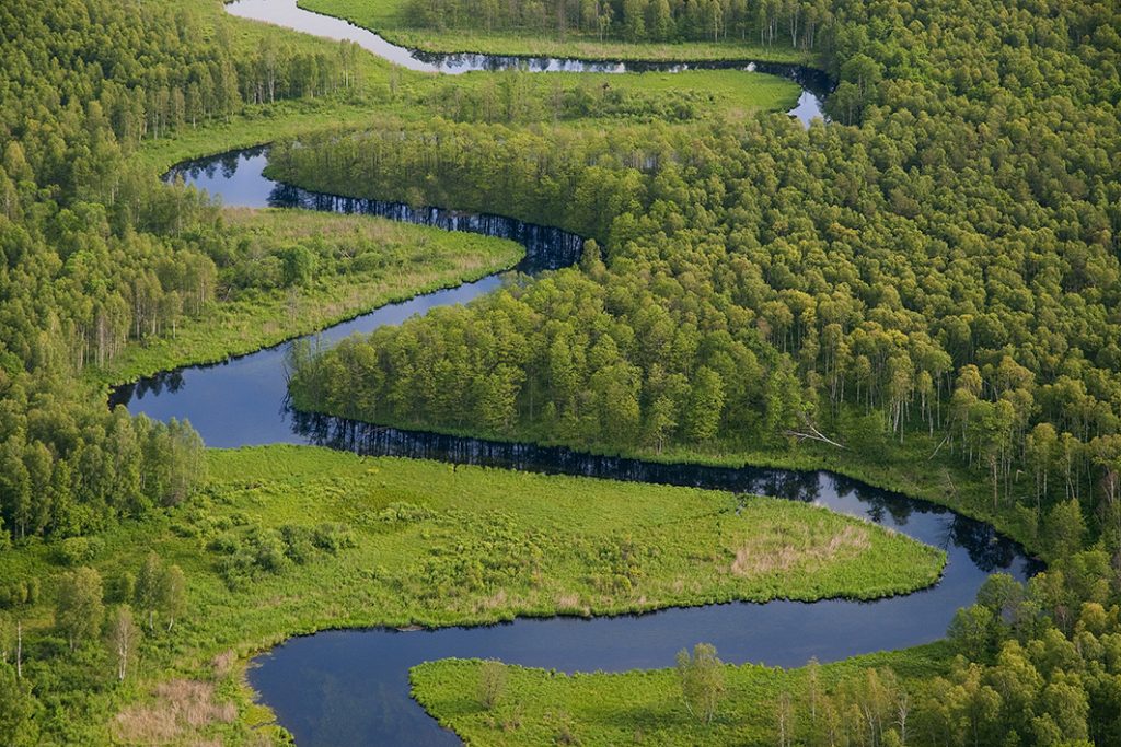 Fotografia prezentuje z lotu ptaka meandrująca rzekę pośród lasów i łąk