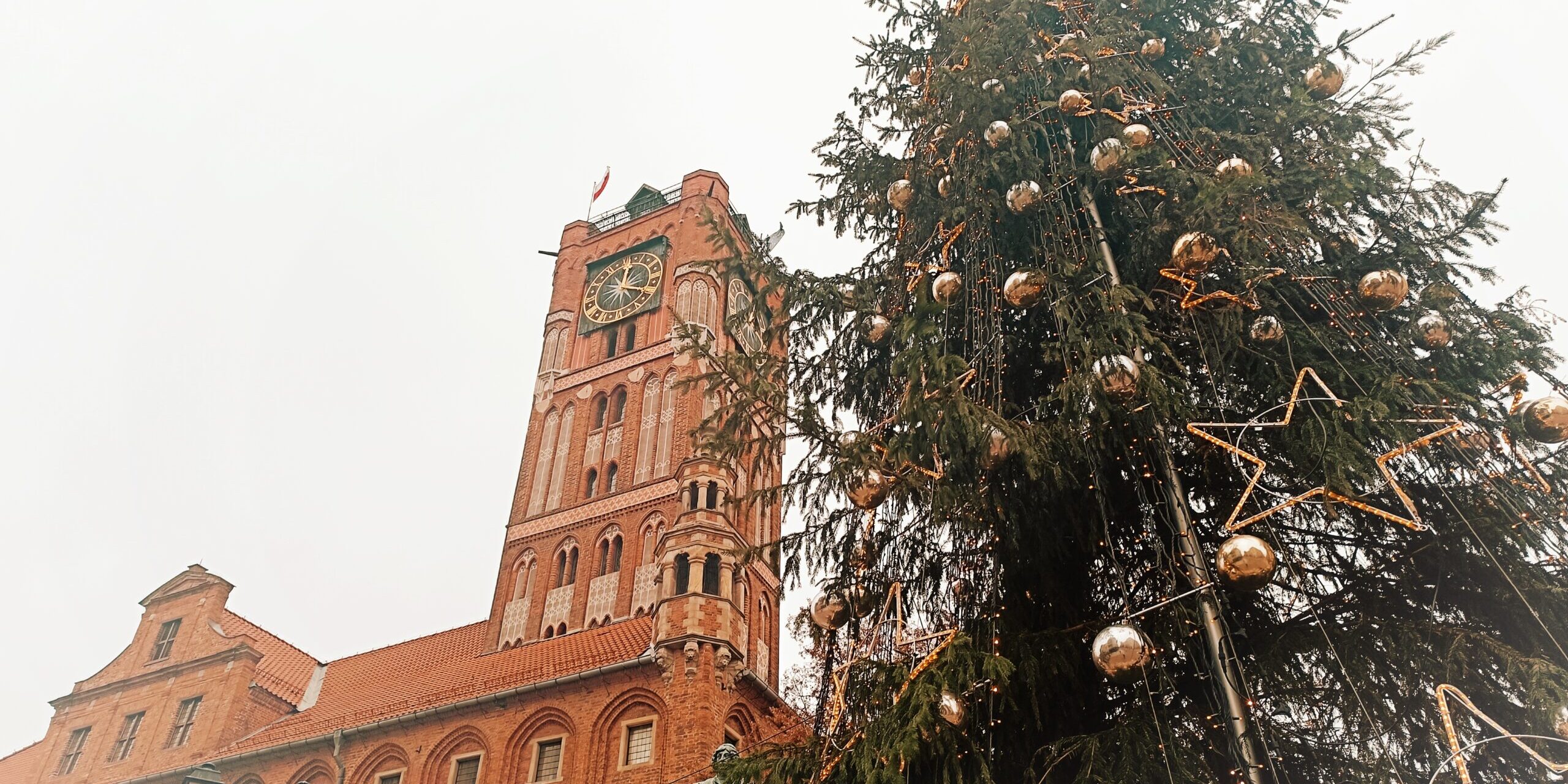 Dostępność Muzeum Okręgowego w Toruniu w okresie Świat Bożego Narodzenia